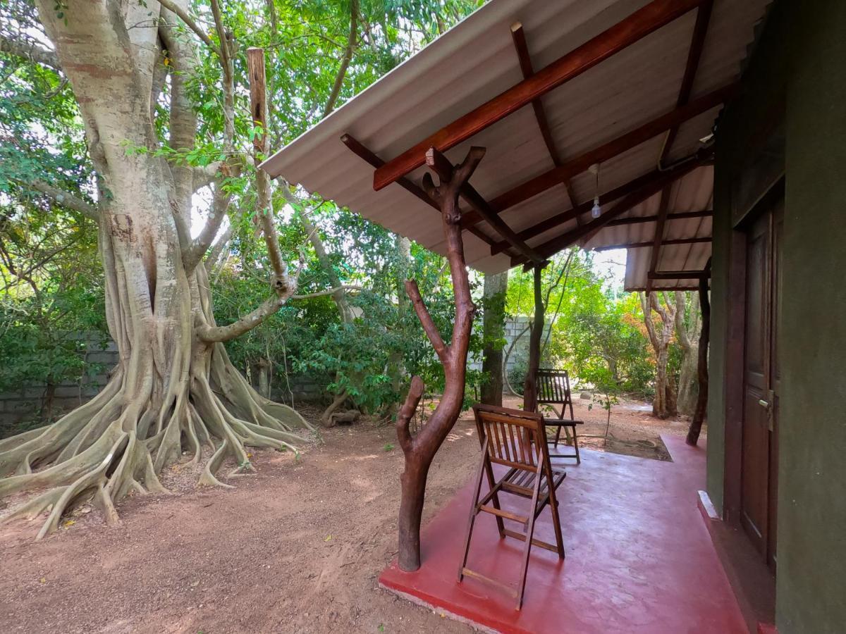 Wilpattu Mookalan Resort Habawewa Экстерьер фото
