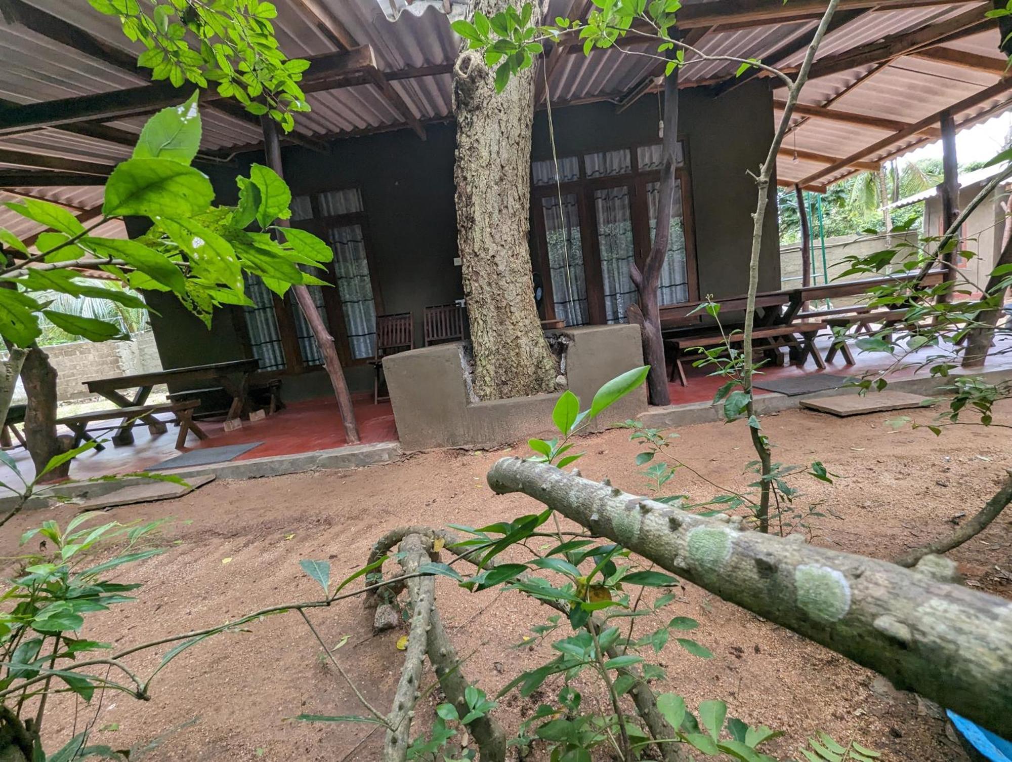 Wilpattu Mookalan Resort Habawewa Экстерьер фото