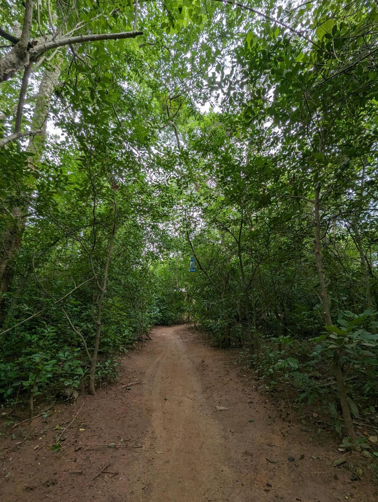 Wilpattu Mookalan Resort Habawewa Экстерьер фото